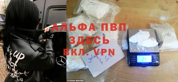 гашик Алексин