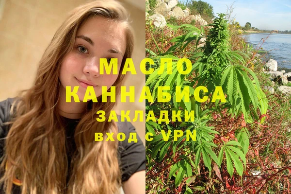 гашик Алексин