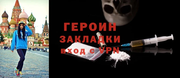 гашик Алексин
