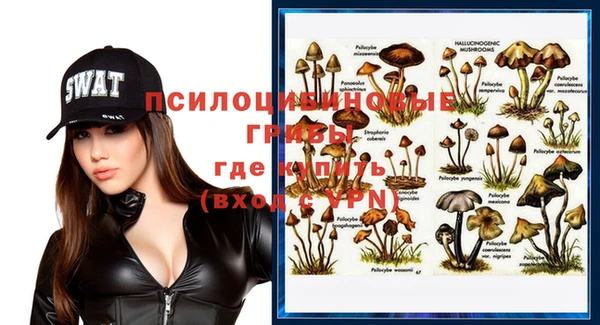 прущий лед Алексеевка