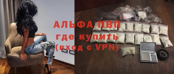 гашик Алексин