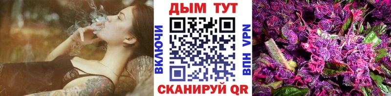 Каннабис OG Kush  Кизел 